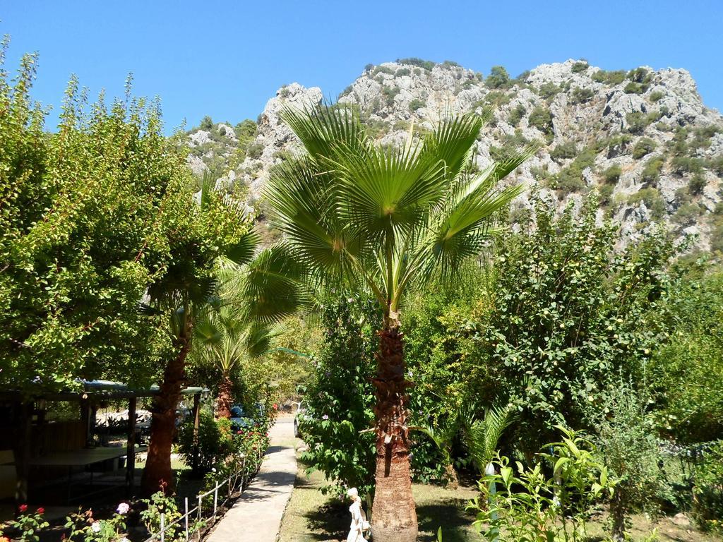 Oran Pansiyon Agac Evler Hotel Cirali Exterior photo